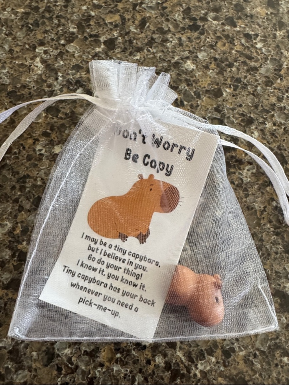 Tiny Cute Capybara Resin Token Statue